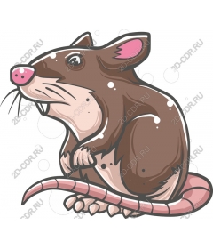 Playful mole