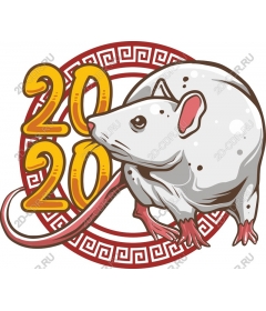  Adorable Rat year celebration 2020