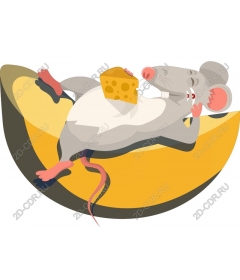  Charming Resting The Mouse On Cheese