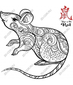 The Year Of The Rat