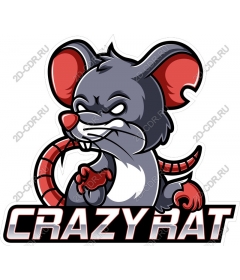  Crazy rat