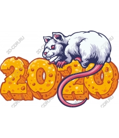  Fancy rat 2020