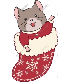  Festive cat in red stocking