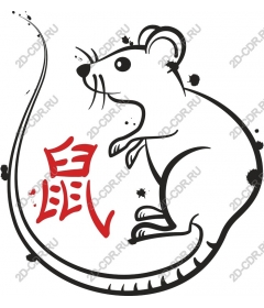  Charming playful rat