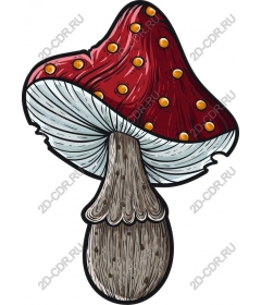  Bright red mushroom