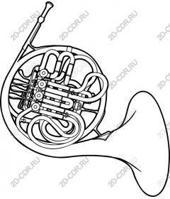  Elegant French horn