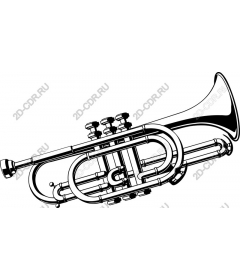  Trumpet