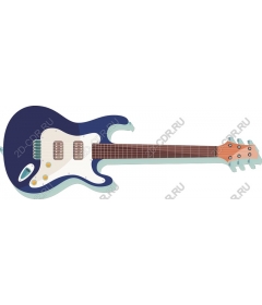  Electric guitar