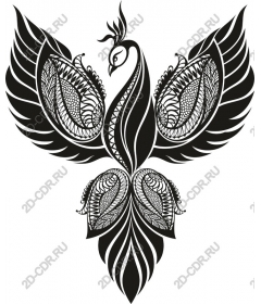 Black and white decorative peacock