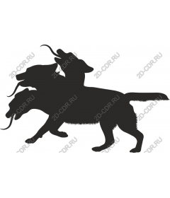 Dynamic dog