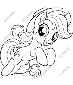  An Adorable Pony