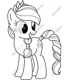  An adorable pony