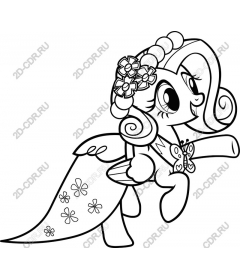  An Adorable Pony