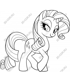  An adorable Pony and