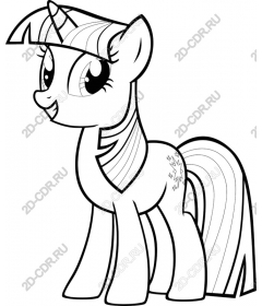 Funny unicorn