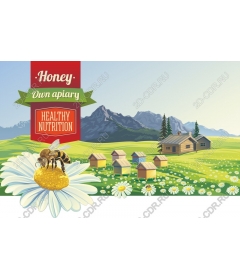  Bright apiary