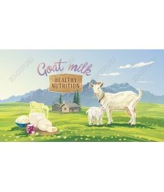 Goat milk is healthy eating