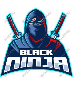  Black ninja