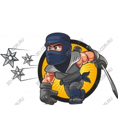 Ninja Warrior
