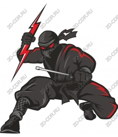  Fierce ninja