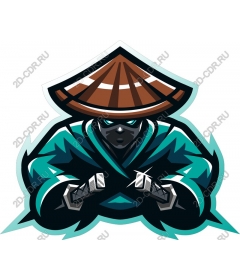 Ninja warrior - Available
