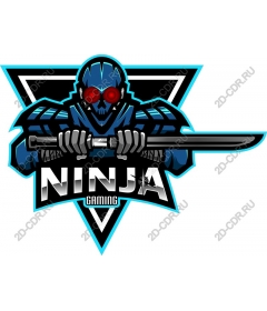  A futuristic ninja gaming