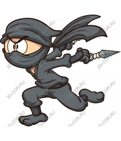  Character Ninja