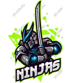 Dynamic ninja