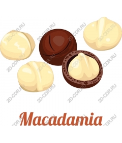 Delight with macadamia nuts