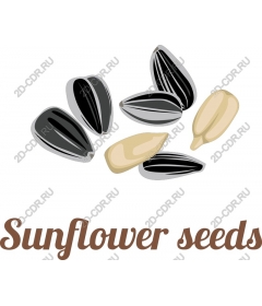  Sunflower Seeds
