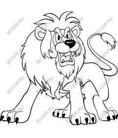  Ferocious roaring lion