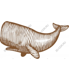 Sperm Whale Line Art