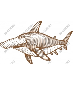  Stylized shark