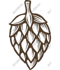  Hop cones premium