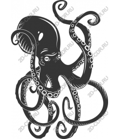 Magnificent octopus