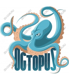  Bright octopus