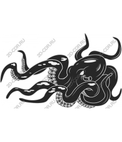  Stunning black and white octopus