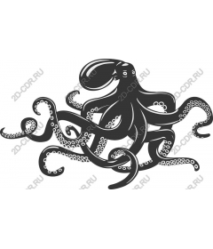 Premium Octopus