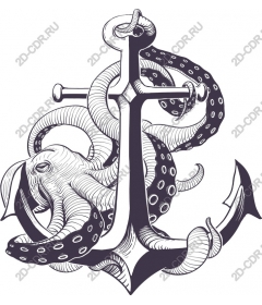  Anchor octopus