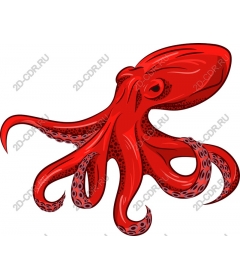 Red octopus
