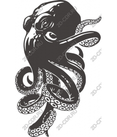  Octopus
