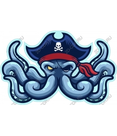  Pirate adventure octopus
