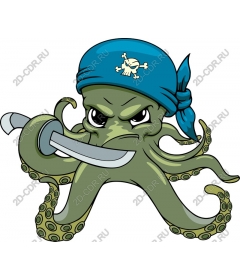 Pirate octopus