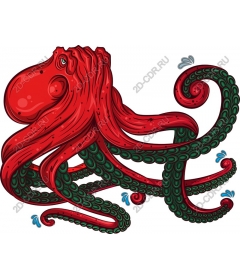  Bright red octopus