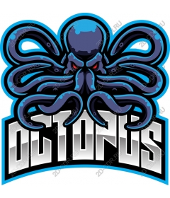 Octopus