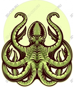  Bright octopus