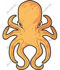  Bright octopus