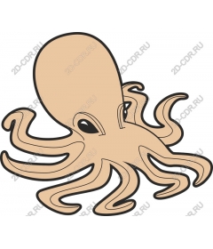 Charming octopus