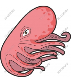  Charming octopus