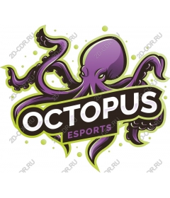 Octopus Киберспорт